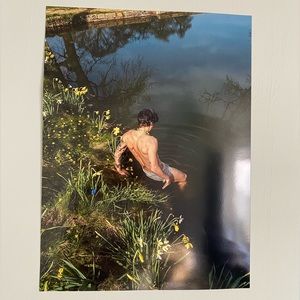 Harry Styles Garden Poster